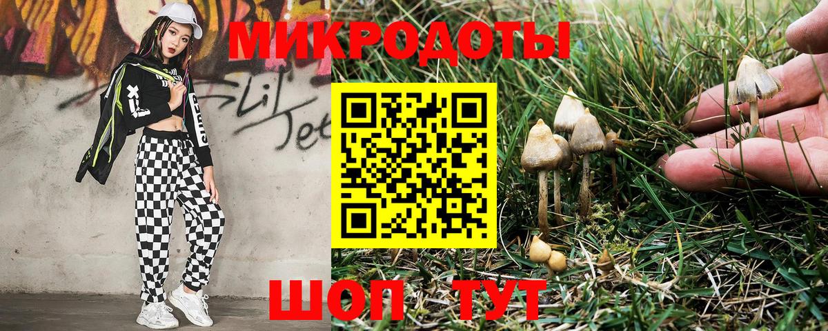 Галлюциногенные грибы Psilocybine cubensis Нерюнгри