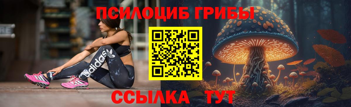 Галлюциногенные грибы Cubensis  Вход с VPN  Нерюнгри 